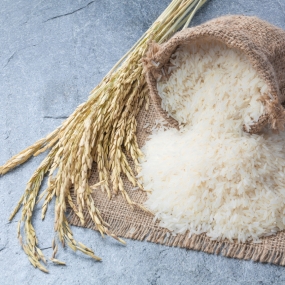 [8주년사전예약] 주암 쌀 10kg