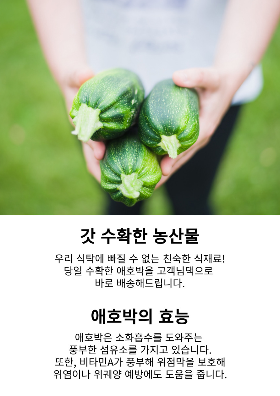 [도사동김태현] 유기농 애호박 1개