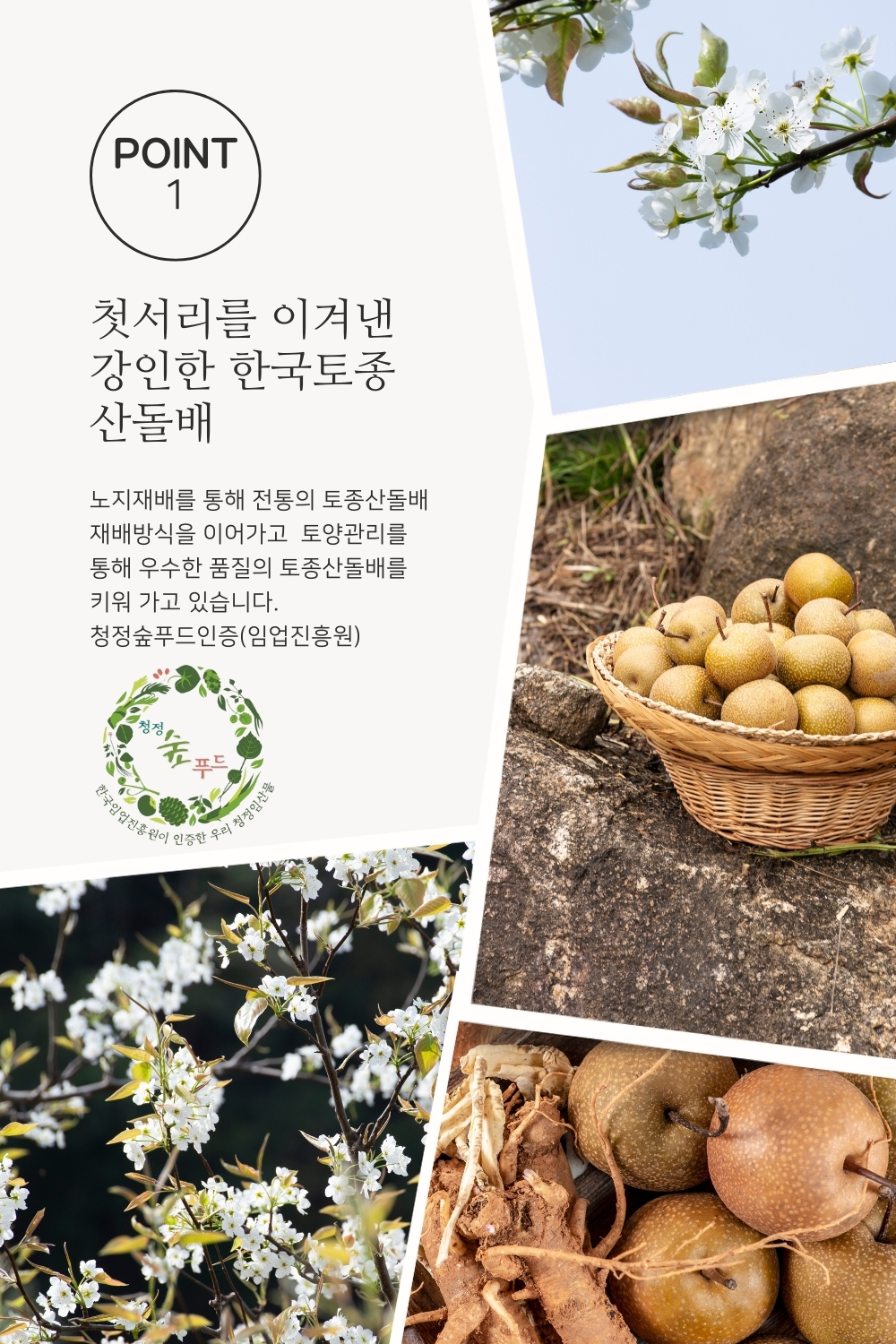 [이반촌농원] 국산 토종 산돌배청 2종세트 (500g+500g)