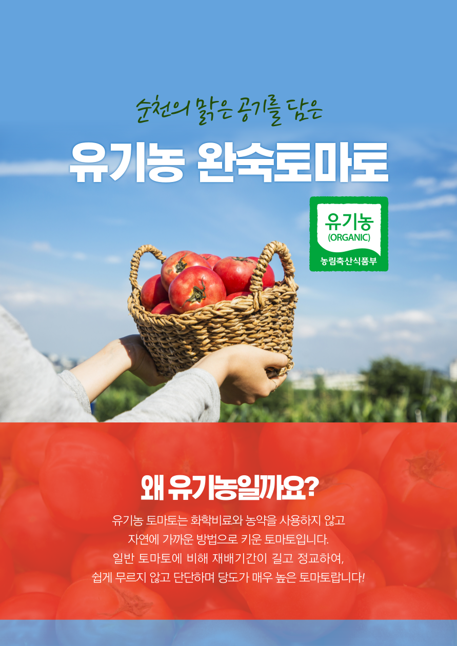 [도사동김태현] 유기농 토마토 1kg/5kg