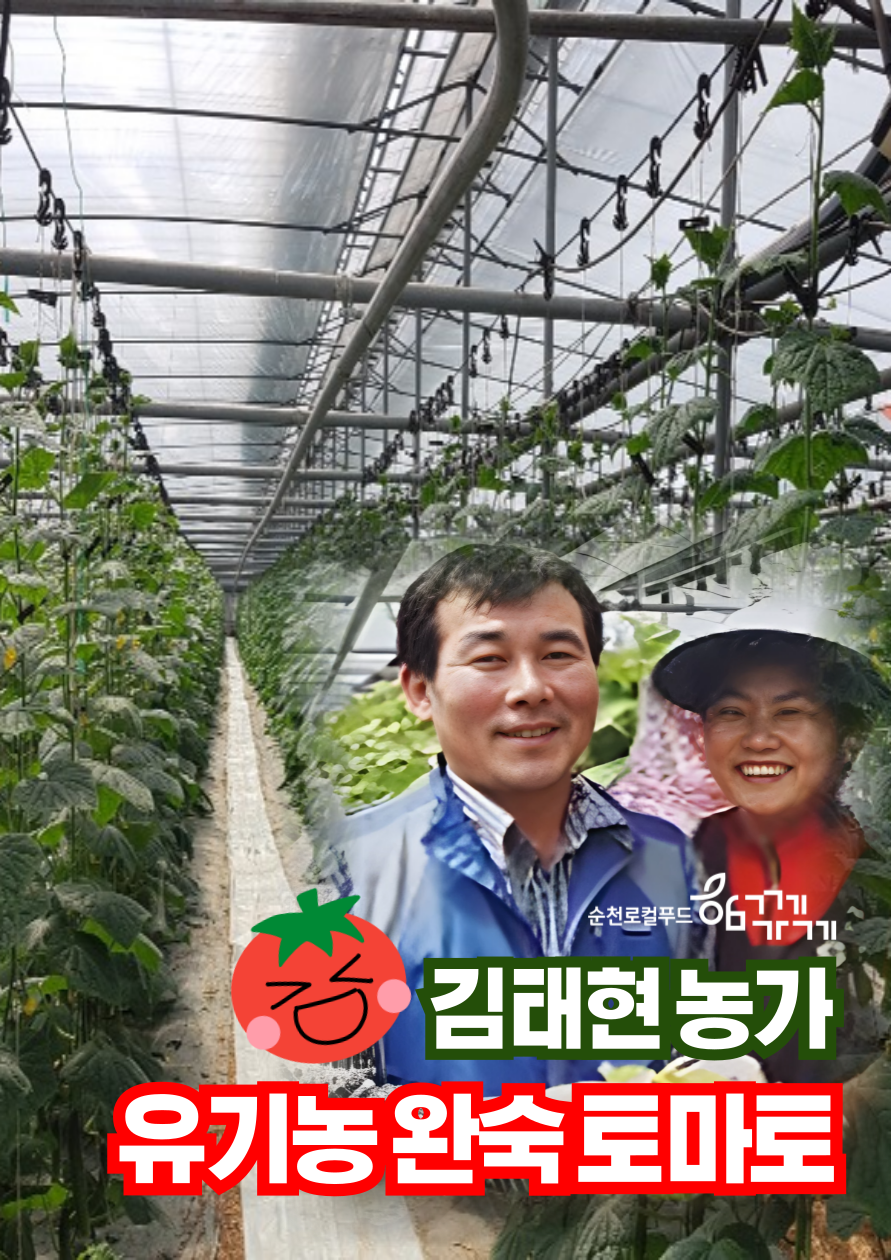 [도사동김태현] 유기농 토마토 1kg/5kg