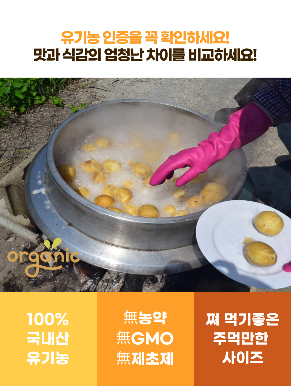 [송광이성형] 순천산 유기농 감자 2kg