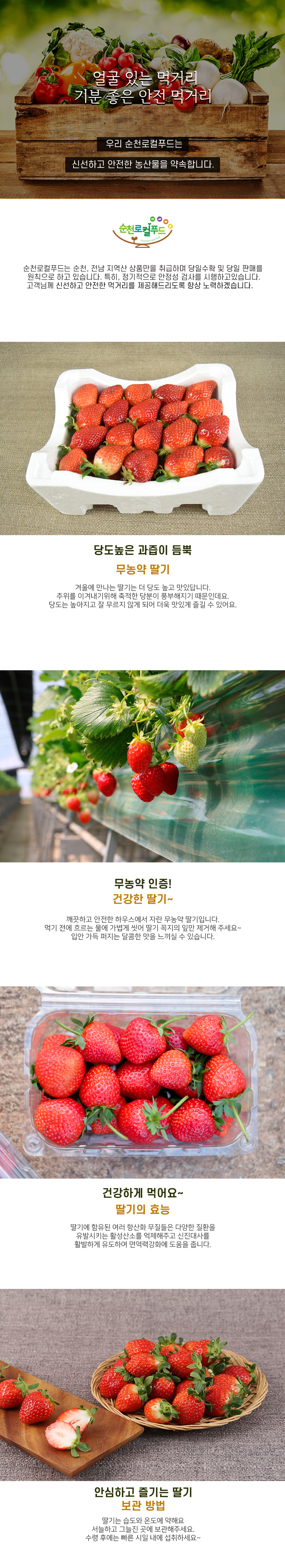 [주암-조양훈] 무농약 딸기 1kg